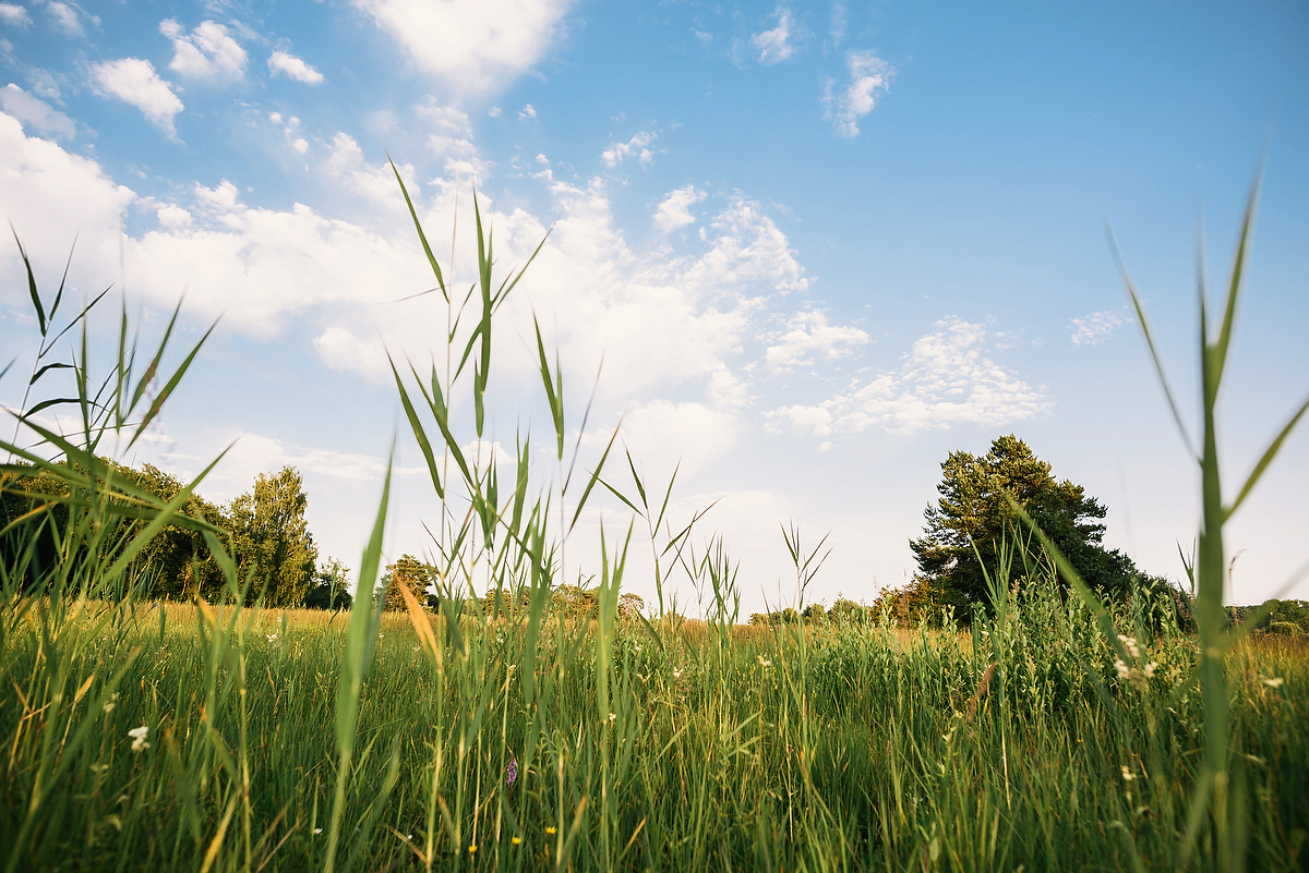 Fotografie Coaching mit Shooting in Konstanz am Bodensee, landscape