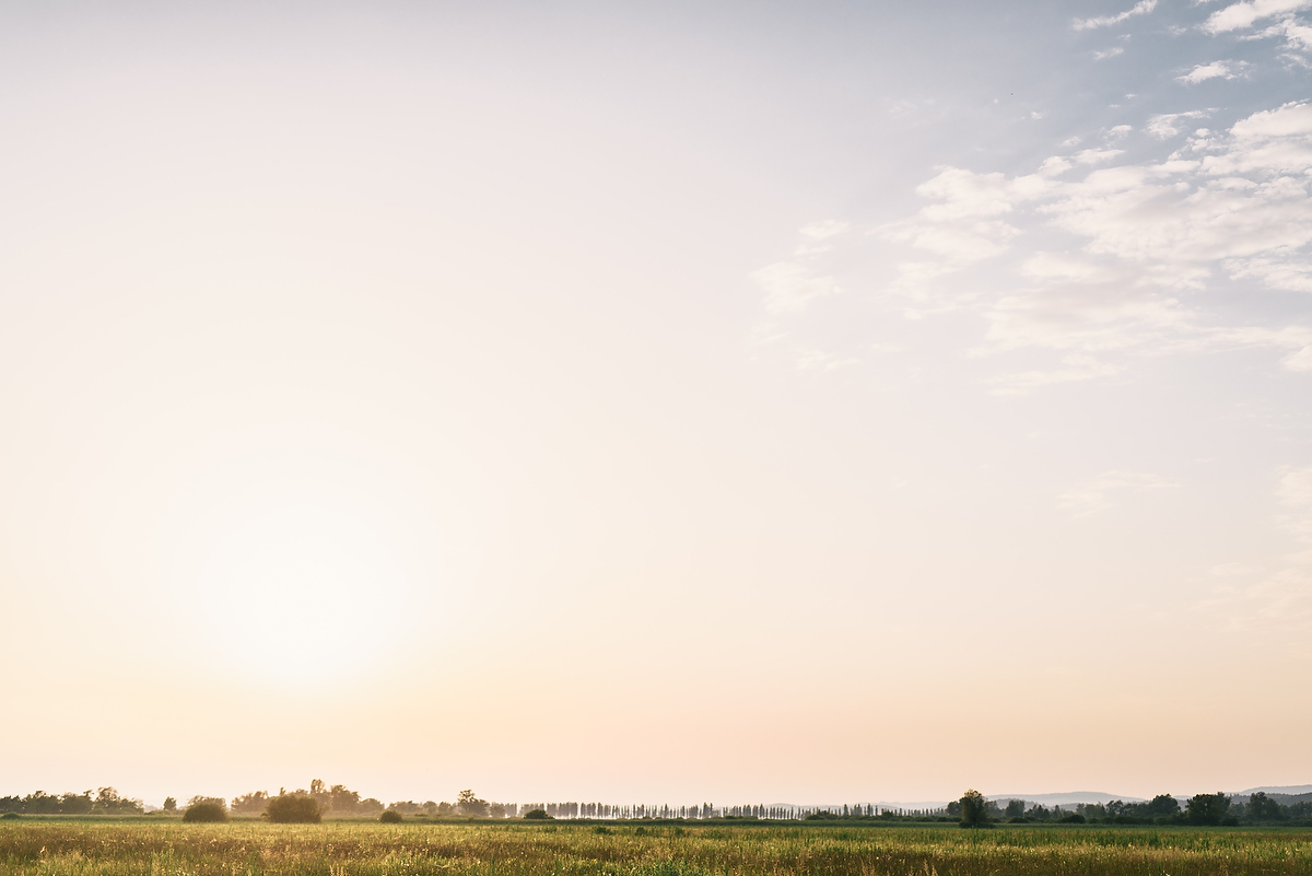 Fotografie Coaching mit Shooting in Konstanz am Bodensee, Reichenau landscape